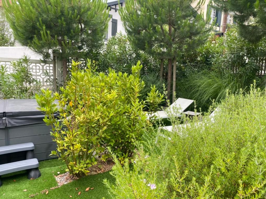 Chambre D'Hotes Villa Bibicheri Biarritz Exterior foto